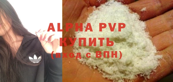 хмурый Нея