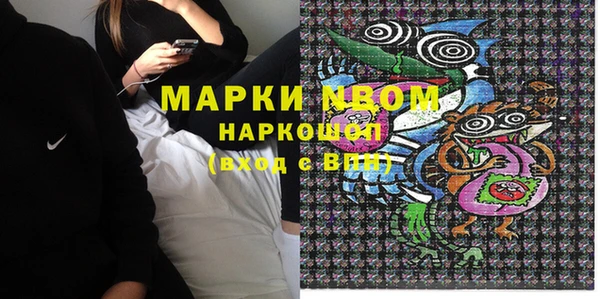 хмурый Нея